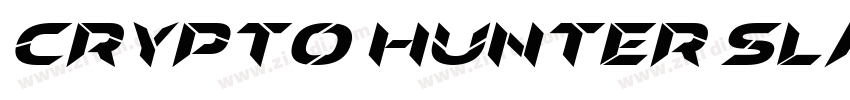 Crypto Hunter Slant Italic字体转换 Crypto Hunter Slant Italic字体转换